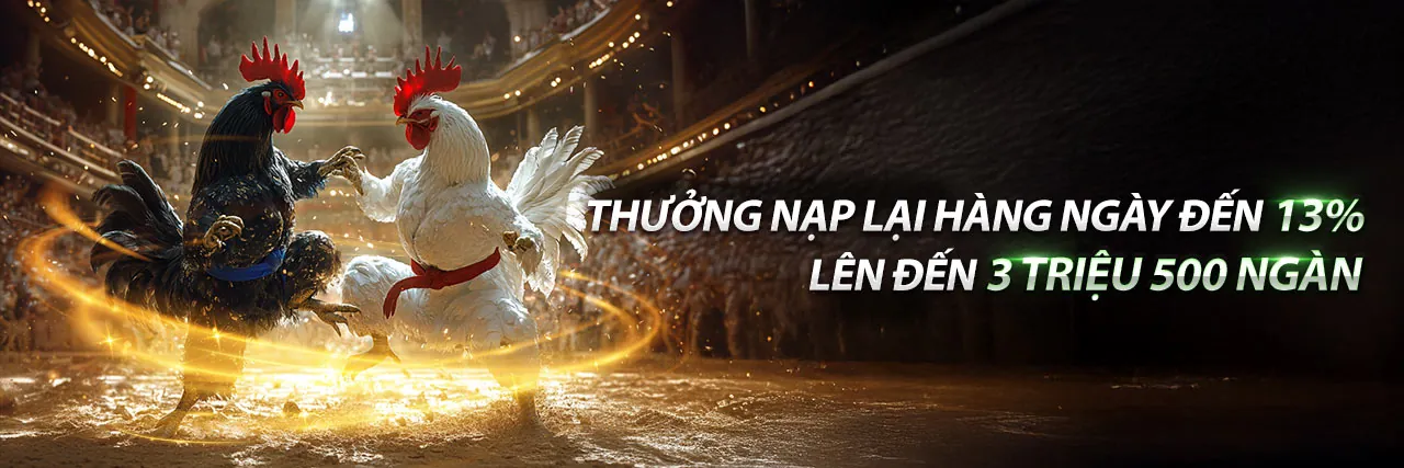 Sân vận động lớn với đèn sáng và cỏ xanh, biểu tượng cho cá cược thể thao đỉnh cao tại fu88 uy tín